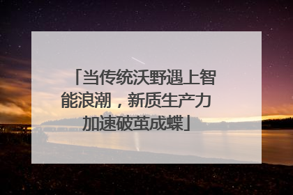当传统沃野遇上智能浪潮，新质生产力加速破茧成蝶