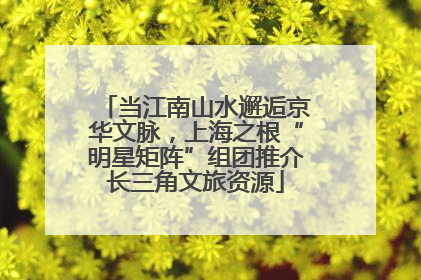 当江南山水邂逅京华文脉，上海之根“明星矩阵”组团推介长三角文旅资源