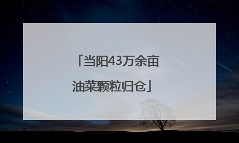 当阳43万余亩油菜颗粒归仓