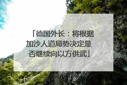 德国外长：将根据加沙人道局势决定是否继续向以方供武