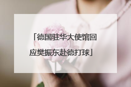 德国驻华大使馆回应樊振东赴德打球