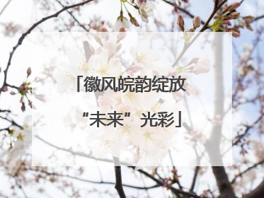 徽风皖韵绽放“未来”光彩