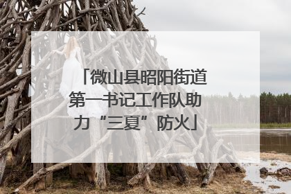 微山县昭阳街道第一书记工作队助力“三夏”防火