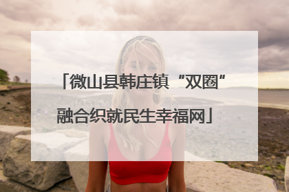 微山县韩庄镇“双圈”融合织就民生幸福网