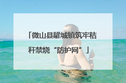 微山县驩城镇筑牢秸秆禁烧“防护网”