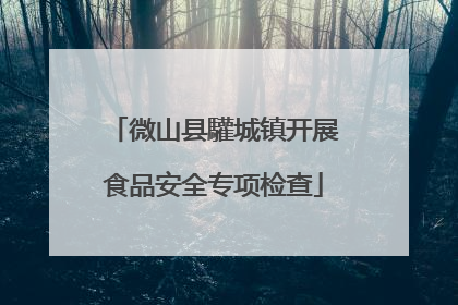 微山县驩城镇开展食品安全专项检查
