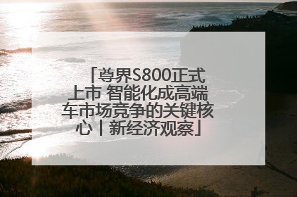 尊界S800正式上市 智能化成高端车市场竞争的关键核心丨新经济观察