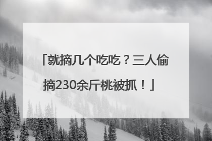 就摘几个吃吃？三人偷摘230余斤桃被抓！