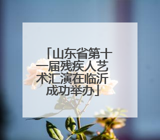 山东省第十一届残疾人艺术汇演在临沂成功举办