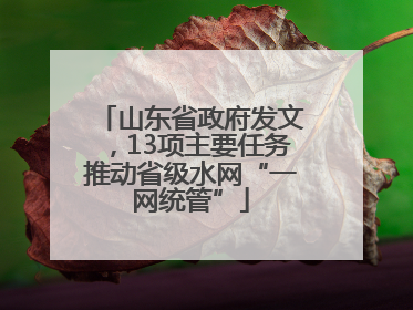 山东省政府发文，13项主要任务推动省级水网“一网统管”