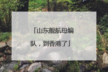 山东舰航母编队，到香港了