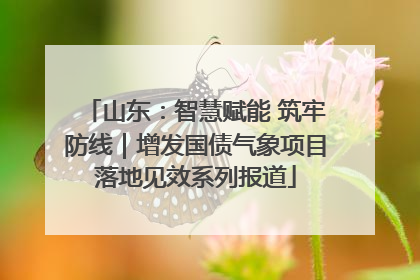 山东：智慧赋能 筑牢防线｜增发国债气象项目落地见效系列报道