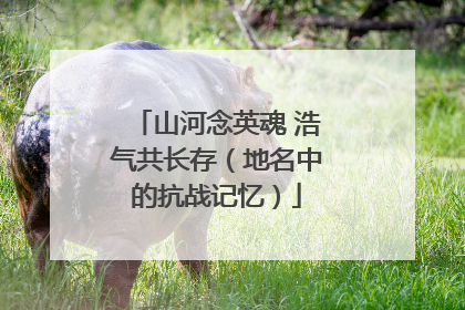 山河念英魂 浩气共长存（地名中的抗战记忆）