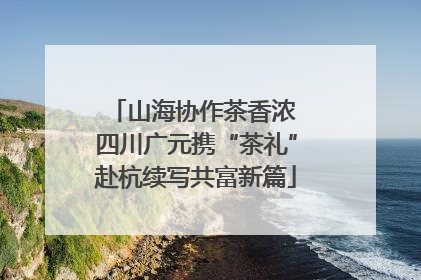 山海协作茶香浓 四川广元携“茶礼”赴杭续写共富新篇