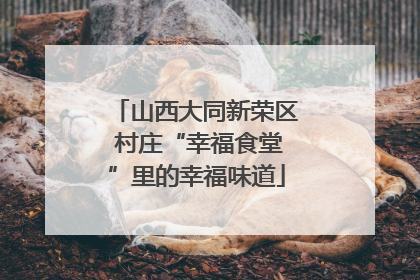 山西大同新荣区 村庄“幸福食堂”里的幸福味道