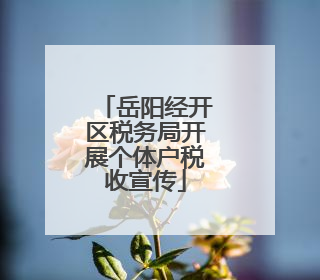 岳阳经开区税务局开展个体户税收宣传
