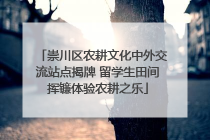 崇川区农耕文化中外交流站点揭牌 留学生田间挥镰体验农耕之乐