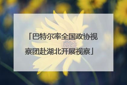 巴特尔率全国政协视察团赴湖北开展视察