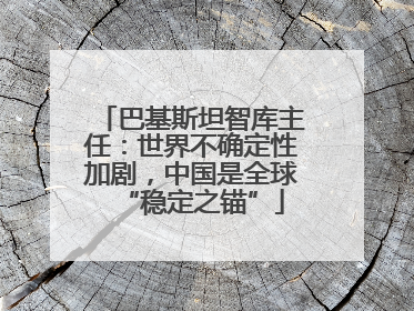巴基斯坦智库主任：世界不确定性加剧，中国是全球“稳定之锚”