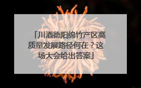 川酒德阳绵竹产区高质量发展路径何在？这场大会给出答案