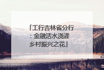 工行吉林省分行：金融活水浇灌 乡村振兴之花