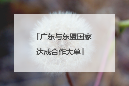 广东与东盟国家达成合作大单