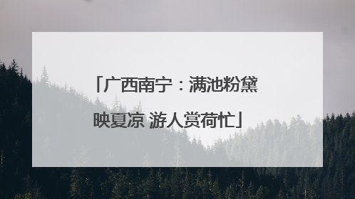 广西南宁：满池粉黛映夏凉 游人赏荷忙