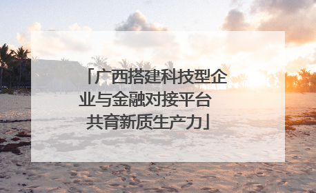 广西搭建科技型企业与金融对接平台 共育新质生产力