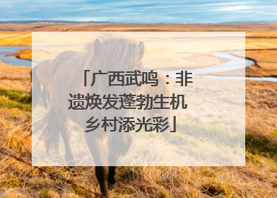 广西武鸣：非遗焕发蓬勃生机 乡村添光彩