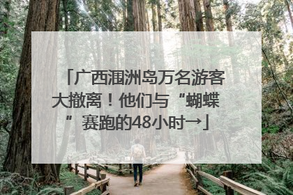 广西涠洲岛万名游客大撤离！他们与“蝴蝶”赛跑的48小时→