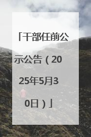 干部任前公示公告（2025年5月30日）