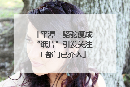 平潭一骆驼瘦成“纸片”引发关注！部门已介入
