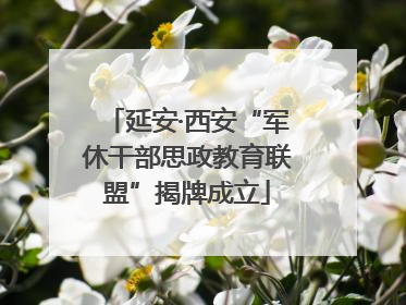 延安·西安“军休干部思政教育联盟”揭牌成立
