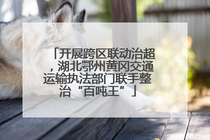 开展跨区联动治超，湖北鄂州黄冈交通运输执法部门联手整治“百吨王”