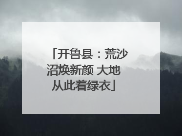 开鲁县：荒沙沼焕新颜 大地从此着绿衣