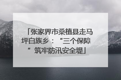 张家界市桑植县走马坪白族乡：“三个保障”筑牢防汛安全堤