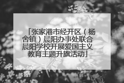 张家港市经开区（杨舍镇）晨阳办事处联合晨阳学校开展爱国主义教育主题升旗活动