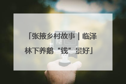 张掖乡村故事｜临泽林下养鹅“钱”景好