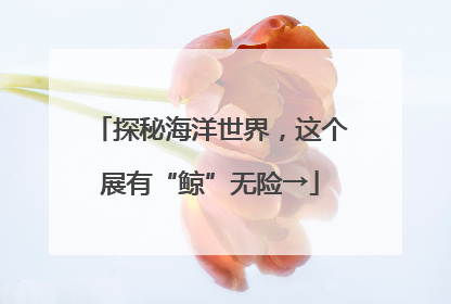 探秘海洋世界，这个展有“鲸”无险→