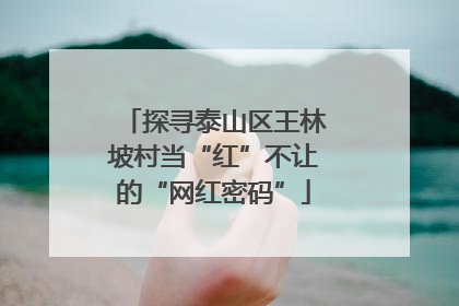 探寻泰山区王林坡村当“红”不让的“网红密码”