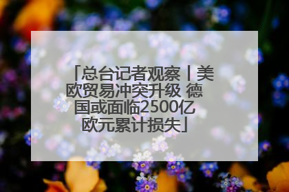 总台记者观察丨美欧贸易冲突升级 德国或面临2500亿欧元累计损失