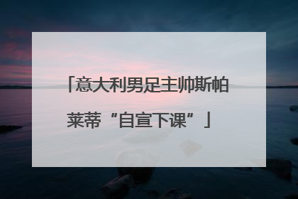 意大利男足主帅斯帕莱蒂“自宣下课”