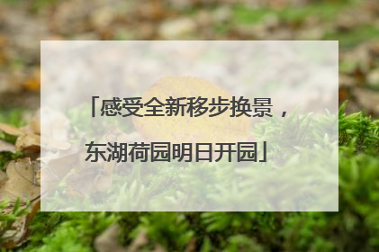 感受全新移步换景，东湖荷园明日开园
