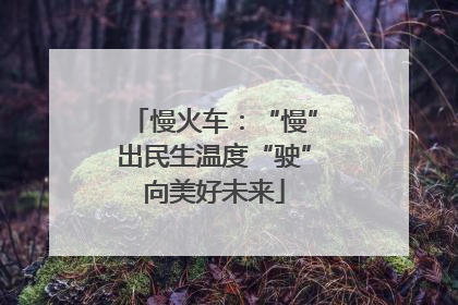 慢火车：“慢”出民生温度“驶”向美好未来