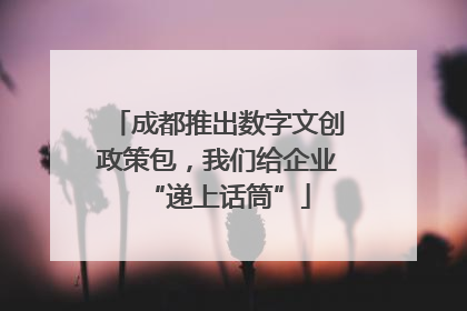 成都推出数字文创政策包，我们给企业“递上话筒”