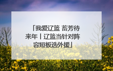 我爱辽篮 蓄芳待来年丨辽篮当针对阵容短板选外援