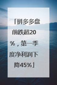 拼多多盘前跌超20%，第一季度净利润下降45%