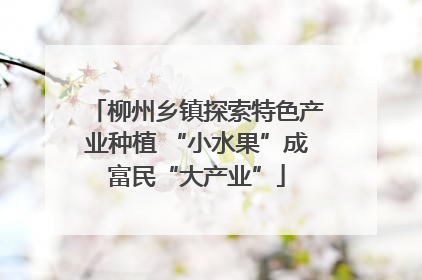 柳州乡镇探索特色产业种植 “小水果”成富民“大产业”