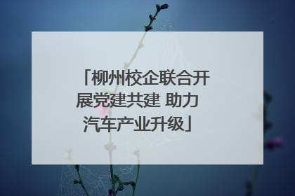 柳州校企联合开展党建共建 助力汽车产业升级