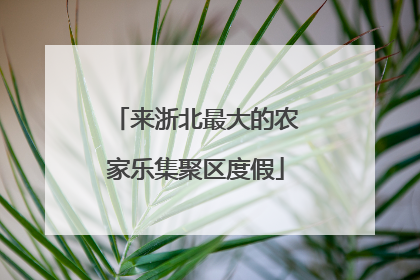 来浙北最大的农家乐集聚区度假